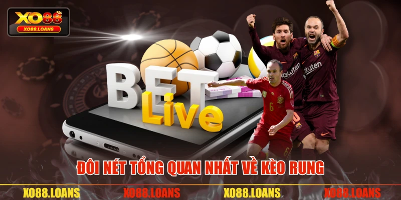 Đôi nét tổng quan nhất về kèo rung