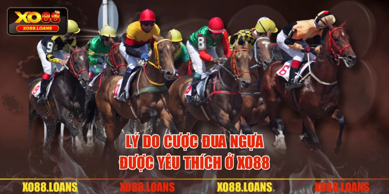 Lý do cược đua ngựa được yêu thích ở XO88
