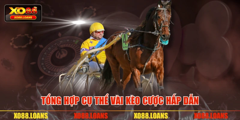 Tổng hợp cụ thể vài kèo cược hấp dẫn